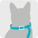 Sergeant's Guardian Flea & Tick Cat Collar - 1 Count | Long-lasting Protection - Buy Online on SooperMarket.com