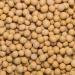 Wholefood Earth Organic Soya Beans 2kg - GMO Free, Vegan, High Fibre & Protein - Certified Organic - Buy Online on SooperMarket.com