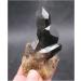 Meditation Home Decor Natural Black Quartz Crystal Cluster Natural ore Sample Stone Healing Crystal for Home Decoration Collection and Gift Meditation Reiki 80g-100g Black - Buy Online on SooperMarket.com