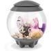 Biorb 46092 Horn Coral S - Pink | Natural Plastic Aquaria Decoration for Fresh & Sea Water | Easy Clean Small Coral - Buy Online on SooperMarket.com