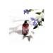 Buy Soapbox SBX00678 Liquid Hand Soap - Sea Minerals & Blue Iris | 12 Fl. Oz. - Moisturizing & Eco-Friendly - Buy Online on SooperMarket.com
