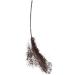 Maybelline Satin Brow Pencil - Dark Brown 9g | Long-Lasting Definition & Shape - Buy Online on SooperMarket.com