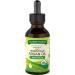 Nature's Truth Organic Rejuvinating Moroccan Argan Oil Serum 2 Fluid Ounce