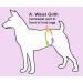 Glenndarcy Female Dog Diapers - Waterproof Fabric Small Size (Busy Bee) | Shop Best Pet Solutions Online - Buy Online on SooperMarket.com