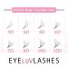 12D Pro-Made Fans on a strip speedy fans Pro Made Handmade Lash Fans Pointed Base Eyeluvlashes (D Curl 13mm length) - Buy Online on SooperMarket.com