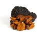 Mushrooms Wohlrab Bio Chaga Mushroom Powder for Animals - 100g Organic Dietary Supplement for Horses - Highest Quality - Buy Online on SooperMarket.com