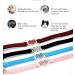 AIXI Cat Collar with Safety Belt and Bell - Heart Bling Design - 8-11 Inches - Black - Buy Online on SooperMarket.com