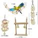CAMITER 8 Packs Bird Toys Parrots Cage Toys Natural Wood Hanging Swing Shredding Chewing Perches Parrot Toy Parrot Bite Toy for Budgie Parakeet Cockatiel Macaw - Buy Online on SooperMarket.com