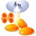 OSALADI 6 Pcs Outdoor Container Containers for Fridge Egg Container Eggs Egg Case Egg Box Egg Rack Portable Random Colorx2pcs 11.5X7X7cmx2pcs - Buy Online on SooperMarket.com