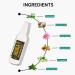 MinaiBrow Eyebrow Conditioning Cleanser 100ml + White Brow Paste 5g | Hydrating, Moisturizing, Brow Mapping & Shaping - Buy Online on SooperMarket.com