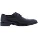 Zanzara Men's Coconut Oxford 11 UK Black - Buy Online on SooperMarket.com