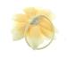 Zac's Alter Ego Cream Water Lily Flower on Elastic - Buy Online on SooperMarket.com
