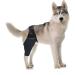 BELLIFFY Dog Foreleg Brace Puppy Knee Braces Dog Acl Brace Hind Leg Paws Pet Mesh Fabric Large Dog Elbow Pads S As Shown - Buy Online on SooperMarket.com