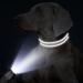 Tagme Personalized Dog Collar for Medium Dogs - Embroidered Reflective Nylon with Pet Name & Phone Number - Gray (1 Pack) - Buy Online on SooperMarket.com