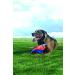 Chuckit! Flying Squirrel Dog Toy Medium - Interactive Floating Disc Frisbee for Tossing and Fetch - Buy Online on SooperMarket.com