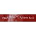 Tilda Arborio Risotto Rice 5 kg - Premium Quality Italian Rice for Delicious Risotto Dishes - Buy Online on SooperMarket.com