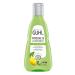 Guhl Freshness & Lightness Anti-Fat Shampoo - Content: 250 ml - Hair type: oily normal 250 ml (1 pack)