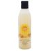 BoaVida Deodorizing Citrus Plus Elder Shampoo and Body Wash with new leak-proof caps  Soap Made with Persimmon to Treat the Presence of Nonenal and Remove Old Person Smell  8 oz