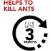 Raid Ant Killer Baits And Traps For Indoor Use Child Resistant 8 Count Baits Ant Killer - Buy Online on SooperMarket.com
