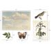 Tim Holtz Idea-Ology Bundle: Organic Layers TH94316 & Collage Layer Frames TH94318 - Spring 2023 Release - Buy Online on SooperMarket.com