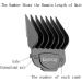 Andis Clipper Guards Set - Kaynway Professional Upgrade Magnetic Comb Guides for Andis Master Clipper 10PCS (Black) - Buy Online on SooperMarket.com