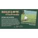 Bigelow Green Tea with Ginger Plus Probiotics 18 Tea Bags - Buy Online on SooperMarket.com