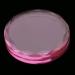 SGerste Adhesive Eyelash Extension Palette Holder - Crystal Glass 4.5cm Pink - 2 Pack for Professional Use - Buy Online on SooperMarket.com