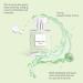 White Tea Perfume White Tea Eau De Toilette Spray Perfume for Women Refreshingly Elegant Long-Lasting Fragrance Women's Perfume Unveiling Sophisticated Charm (2 pack) - Buy Online on SooperMarket.com