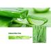 YiKiMira Aloe Vera Gel for Facial Care Anti Acne Treatment Scar Removal Face Cream Soothing & Whitening Moisturizing for men and woman (Aloe Vera Gel) - Buy Online on SooperMarket.com