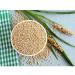 Fudco Whole Juwar | 500G | Sorghum Whole | Whole Sorghum Millet | Whole Grains | High Protein | Cholam | Millet Grains | Indian Origin | Each 500g | Pack Of 4