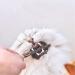 nuoshen 30 Pcs Chew Sticks for Cats Catnip Sticks Cat Sticks Cat Chew Toy Cat Teething Toys Natural Wood Sticks for Cats Play and Relax - Buy Online on SooperMarket.com