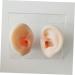 Silicone Ear Models for Ear Picking and Display - 1 Pair - Buy Online on SooperMarket.com