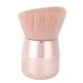 Cheek Brush Portable Aluminum Brush Handle Blush Brush Pink for Beauty-loving People for Make-up Talents for Beginners