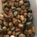 3pc Natural Minerals Ocean Jasper Palm Size Tumbled Stones for Decoration - Buy Online on SooperMarket.com