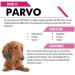 MediMad Canine Parvovirus Rapid Test Feces Testing Kit - Buy Online on SooperMarket.com
