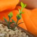 S ssundclever.de Bio Nakedhafer - Germinable Organic Oats 1kg | Eco-Friendly Plastic-Free Packaging from Germany - Buy Online on SooperMarket.com
