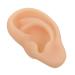 Silicone Ear Model 1pc Silicone Ear Silicone Tool Fake Ear Earwax Tool Silicone Piercing Model Silica Gel Beige Ear Presentation Model Ear Training Ear Model Major Cyborg 3D
