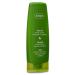 Oliva Crema de Manos Y U as 80 ml