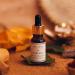 Kama Ayurveda Kumkumadi Night Serum 12ml | Beauty Ayurvedic Serum - Buy Online on SooperMarket.com