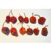 Wicked Reaper Carolina Reaper Chili Peppers - 10 Pack + 2 Free | Hottest Dried Spice - Buy Online on SooperMarket.com
