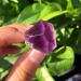 1pcs Natural Amethyst Scepter Quartz Crystals Cluster Minerals Stones fine Home Decoration Gifts Suitable for Furniture Decoration Full of Texture 50-80mm - Buy Online on SooperMarket.com
