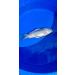Fish Pharma Fish Calm - Premium Stress Relief for Fish | Fast International Shipping - Buy Online on SooperMarket.com
