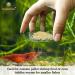 Heavy-Duty Tough Borosilicate Glass Shrimp Feed Dish - Prevent Spills, Never Run Out of Food for Shrimps - Ideal for Tubifex Worms and Fish Food - Buy Online on SooperMarket.com