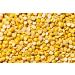 500g Organic Lentils Vegan & Gluten Free Legumes Split and Whole Daal Curry Gravy Dal Masoor Moong Bengal Gram (Split Chickpea Chana Daal)