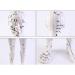 Model Anatomy Professional Medical Acupuncture 48Cm 19" - Buy Online on SooperMarket.com