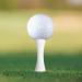 Zivisk Bamboo Golf Tees 100 Count - 2-1/8, 2-3/4, 3-1/4 Inch (White Natural Color) - Buy Online on SooperMarket.com