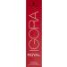 Schwarzkopf Igora Royal Premium Hair Color 7-00 Middle Blond Nature Extra - 60ml (1 Pack) | International Shipping Available - Buy Online on SooperMarket.com