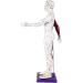 Male Human Body Model with Muscles for Pressure Acupuncture and meridians - Buy Online on SooperMarket.com