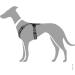 HUNTER Harness Maldon 60-91/ML Black/Grey - Premium Adjustable Dog Harness for Comfortable International Shipping - Buy Online on SooperMarket.com
