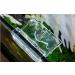 2Pcs Universal Glass Cover Clips for Fish Tanks - 6mm/8mm/10mm Sizes - Acrylic Holders for Rimless Aquariums - Buy Online on SooperMarket.com